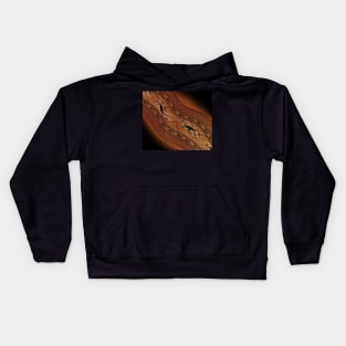 Lizard tracks Kids Hoodie